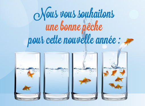 bonne année